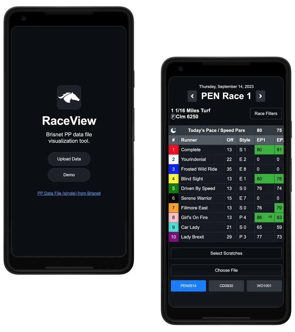RaceView